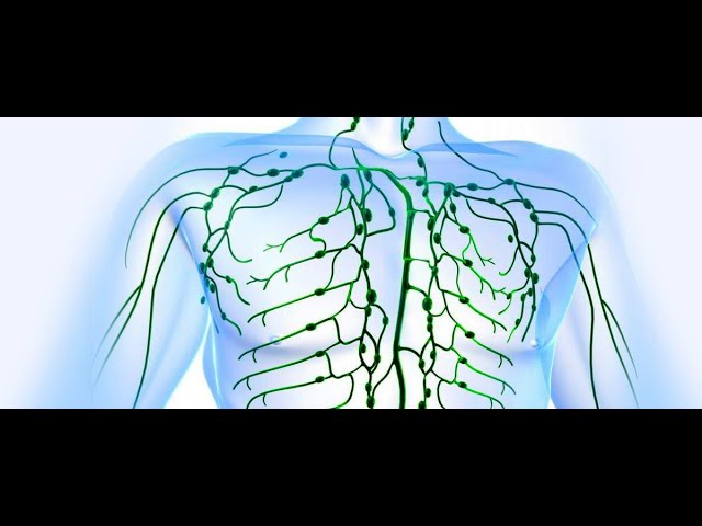 ЛУЧШИЕ НАРОДНЫЕ СРЕДСТВА ДЛЯ РАЗЖИЖЕНИЯ И УДАЛЕНИЯ СКОПЛЕНИЙ СЛИЗИ смотреть онлайн