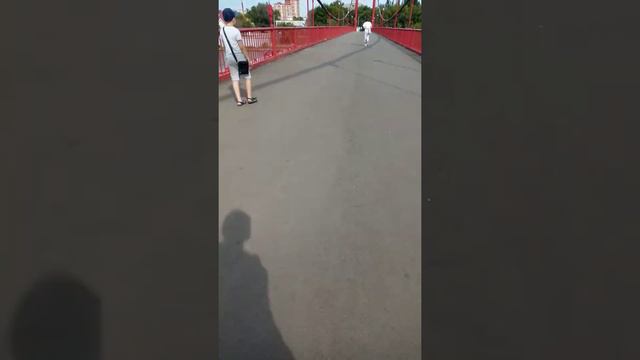 Подвесной мост Пенза смотреть онлайн