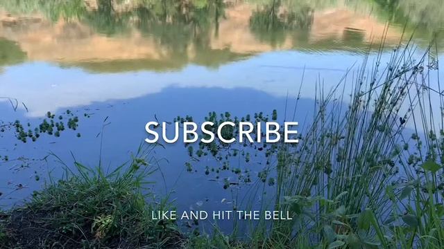 Mozart Effect Classical Music For Brain Эффект Моцарта Классическая музыка для мозга