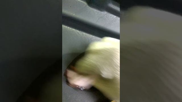 Димексид как смывается транспортировочного грунта. смотреть онлайн