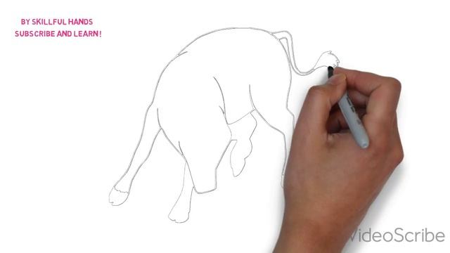 How to Draw a Bull / Как нарисовать быка смотреть онлайн
