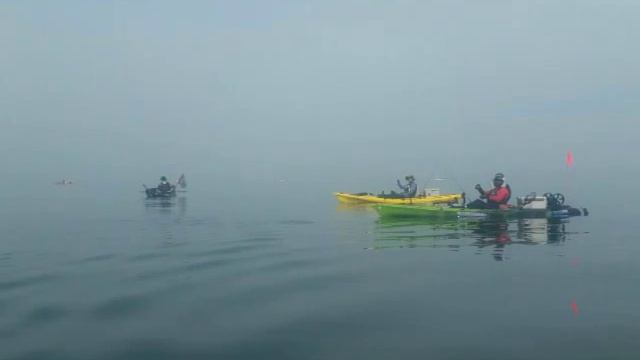 Jabass -viking Profish Reload Kayak Fishing