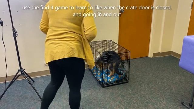prevent separation anxiety - teach independence смотреть онлайн