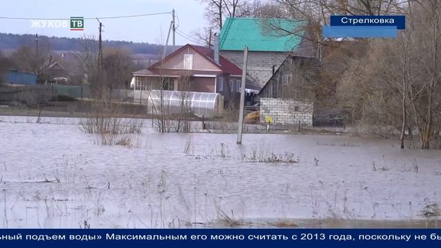Половодье Жуковский район (Стрелковка) смотреть онлайн