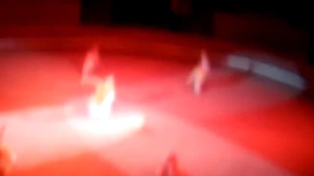 Выступление цирковой студии "Импульс"в цирке ! смотреть онлайн