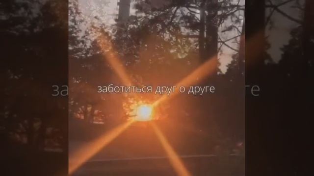 Давай беречь нашу любовь | Автор стихотворения: неизвестен смотреть онлайн