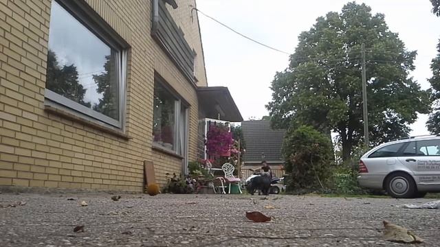 Adly 150 mit db killer смотреть онлайн