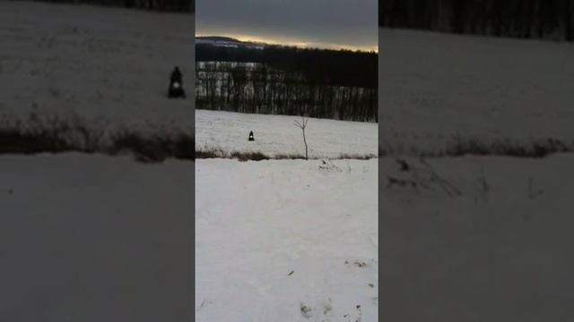 1997 arctic cat cougar hill climb смотреть онлайн