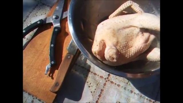 Болезни кур - выпадение яйцевода смотреть онлайн