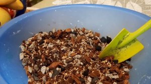 /Интересный грунт для цветов/Опоры для хой/Покупки для растений / ??