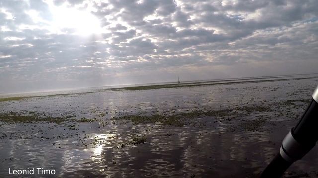 На набережной Буэнос Айреса много водорослей. Аргентина смотреть онлайн