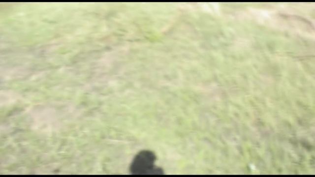 Фортуна м 3 ТРИ ТОВАРИЩА НА ПЕРСПЕКТИВНОМ НЕКОПАННОМ ПОЛЕ №104 смотреть онлайн