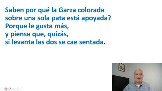 Учить испанский язык по детским стихам. Мария Елена Уолш, лимерики про кота с луны и мудрую цаплю. смотреть онлайн