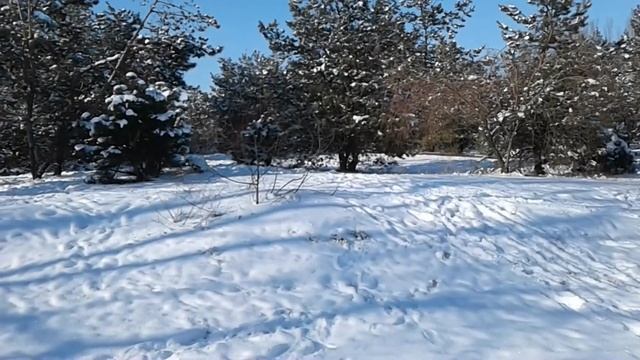 Китайский Новый год обычаи. Новый год по китайскому календарю смотреть онлайн