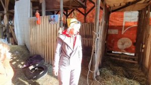 Денник для лошадей / Уборка денника / Как сделать и сэкономить / Денник для лошади размер