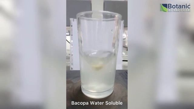 Bacopa monnieri Water Soluble Grade смотреть онлайн