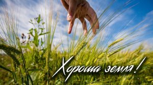 ВЫХОДИЛ НА ПОЛЯ МОЛОДОЙ АГРОНОМ / Разбор на гармони по цифрам