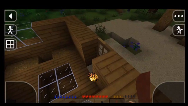 Survival Craft C MLG