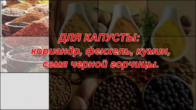 СПЕЦИИ, что к чему подходит? Как правильно использовать СПЕЦИИ? смотреть онлайн