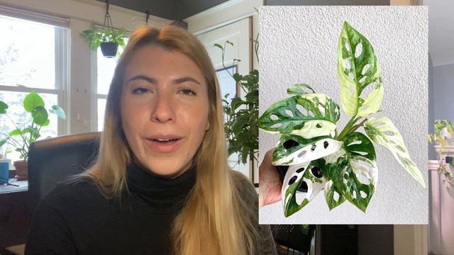 Houseplant Wishlist For 2022 | Plants I’m Looking For This Year