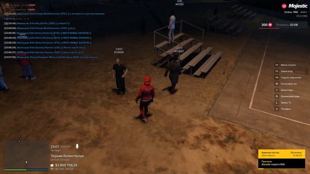 два гуся часть 1 смотреть онлайн