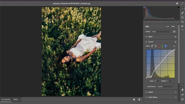 PROFESSIONAL COLOR GRADING PRESET -DNG & XMP - MOBILE & DESKTOP PRESET смотреть онлайн