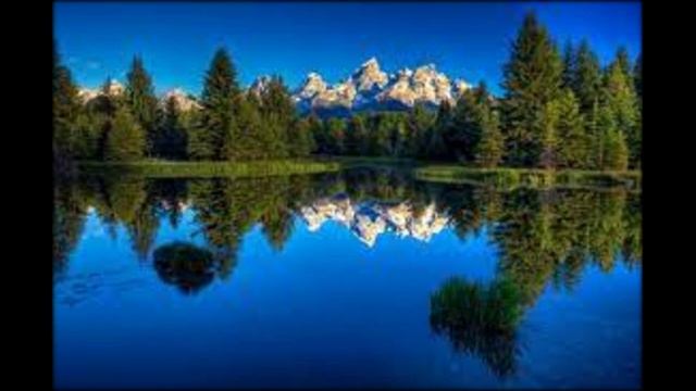 Дельфинарий Немо Intro.mp4 смотреть онлайн