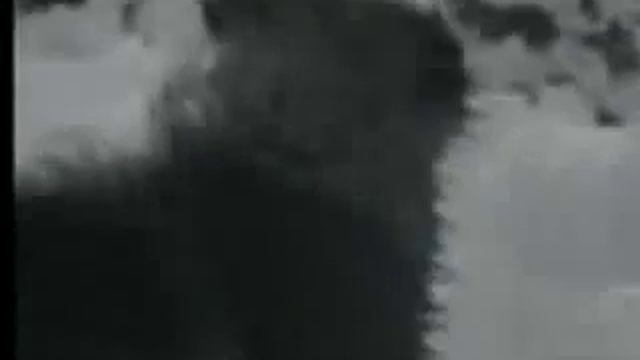 Нападение волков на стадо баранов смотреть онлайн