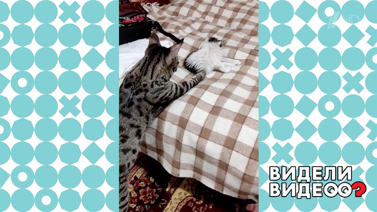 Первая встреча. Видели видео? Часть 2. Фрагмент выпуска от 19.12.2021 смотреть онлайн