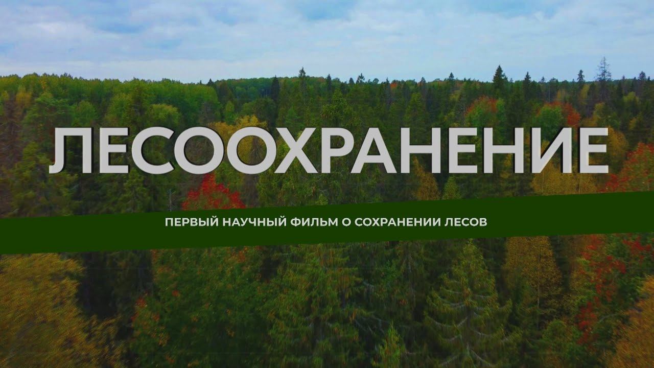 Лесоохранение. Первый научный фильм о сохранении лесов. Трейлер (2023) смотреть онлайн