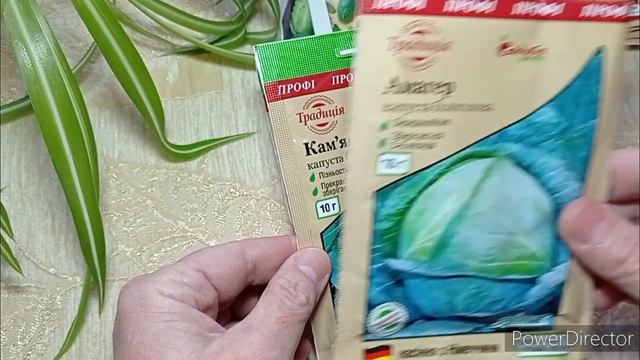 #сельская_страничка                                  Обзор моих семян на 2023г