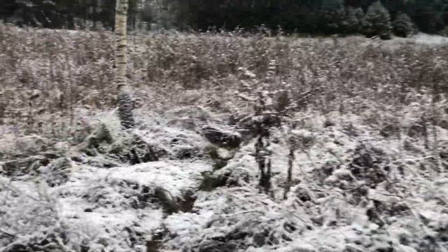 Ловля щуки на живца с берега. Осенняя рыбалка 2020.Щука в Ноябре.Fishing смотреть онлайн