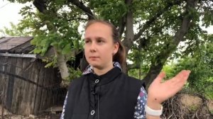 Устраняем причины сухих листьев у авокадо / Luchek_