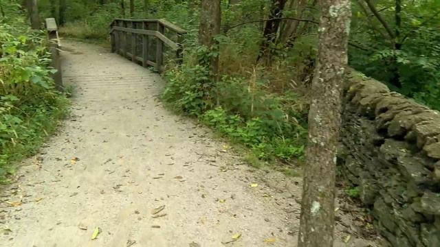 Парк McConnell Springs в Лексингтоне, Кентукки смотреть онлайн