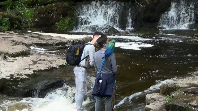 The Four Waterfalls Trail Walk Brecon Beacons National Park Wales
