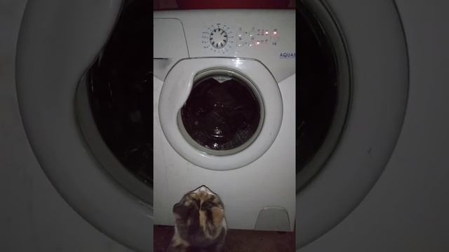 Candy AQUAMATIC Class AA 1000 rpm AQUA 100F. смотреть онлайн