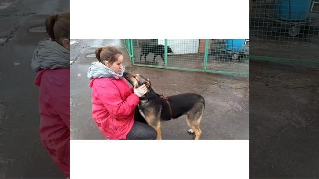 Самба Samba смотреть онлайн