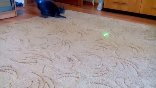 Приснится же такое....