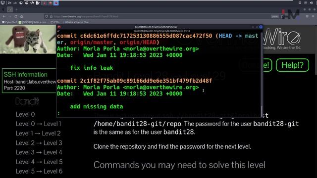 Bandit - 28 | Checking logs using git смотреть онлайн