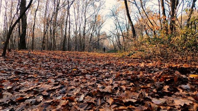 Познакомилась со взрослым мужчиной и решила познакомить с его с отцом. А когда тот увидел жениха... смотреть онлайн
