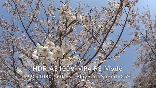 Sony Action Camera HDR-AS100V MP4 PS Mode 60fps Test смотреть онлайн