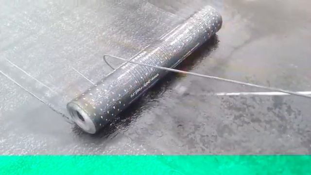 Polyroof Standart ЭПП