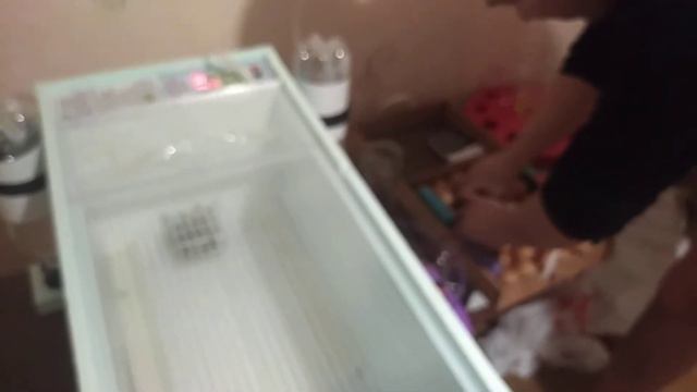 #2Инкубация 6ой день,продолжаем эксперимент из магазинных яиц