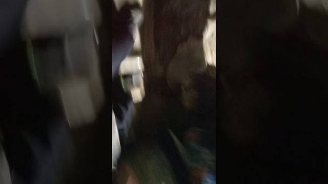 Я гуляю по Кунгурским пещерам смотреть онлайн