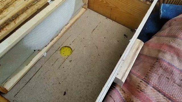 Пчелоудалитель - как прогнать пчел из магазина :) смотреть онлайн