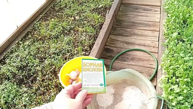 Как подготовить грядку и чеснок для осенней посадки.Готовим грядки для посадки озимого чеснока27сен смотреть онлайн