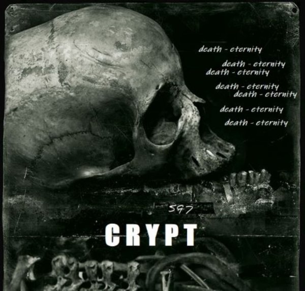 swallow the moon - C R Y P T