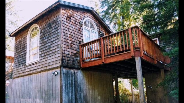 Cabin Fever смотреть онлайн