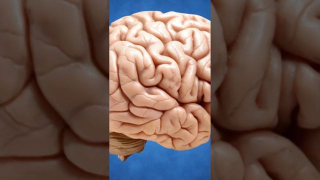 ¡LOS 7 SIGILOS para COMENZAR ATRAER DINERO! y tener UNA CONSCIENCIA DE RIQUEZA by JOSEPH MURPHY смотреть онлайн