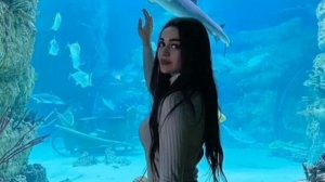 Азербайджанская песня 2021